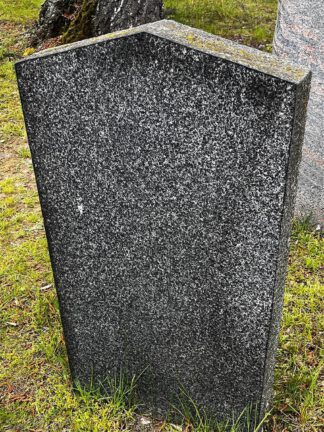Dunkler Granit Stehstein 50 x 110 cm